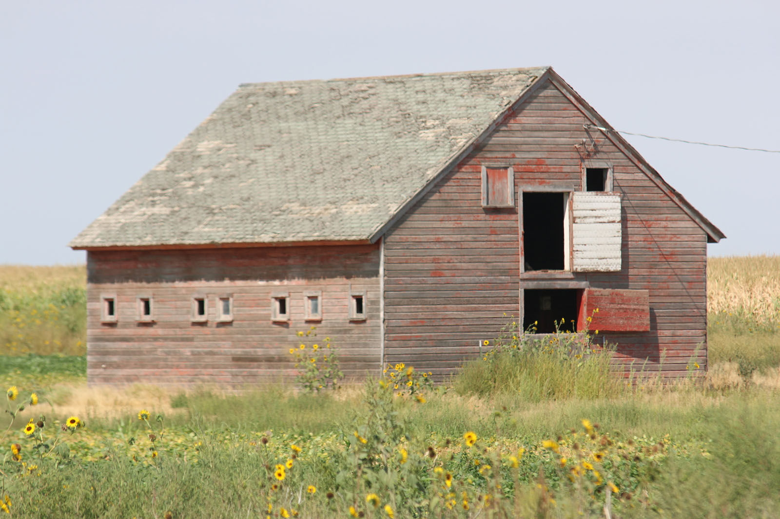 PHOTOS: Barns